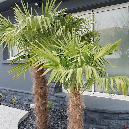Amontarrena Villa Anglet Dış mekan fotoğraf